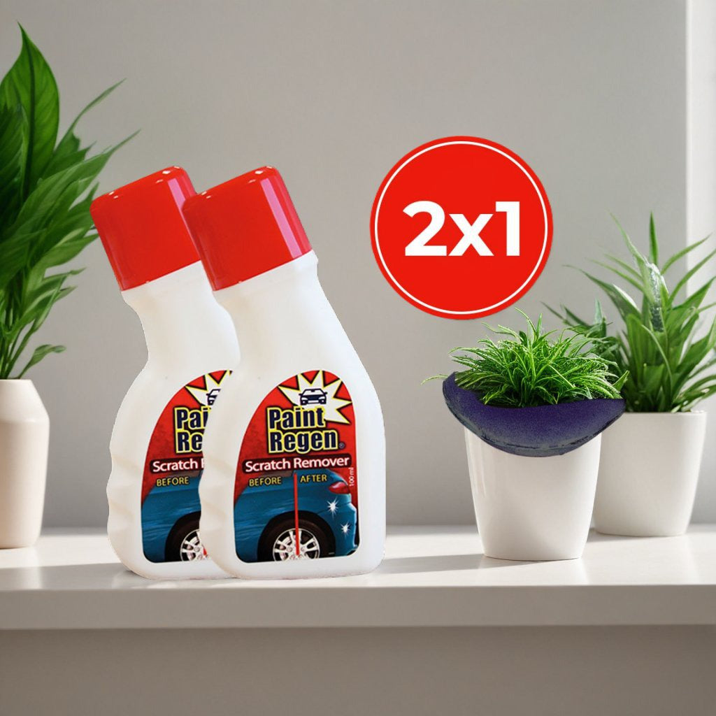 Paint Regen 2x1 a 198 LEU