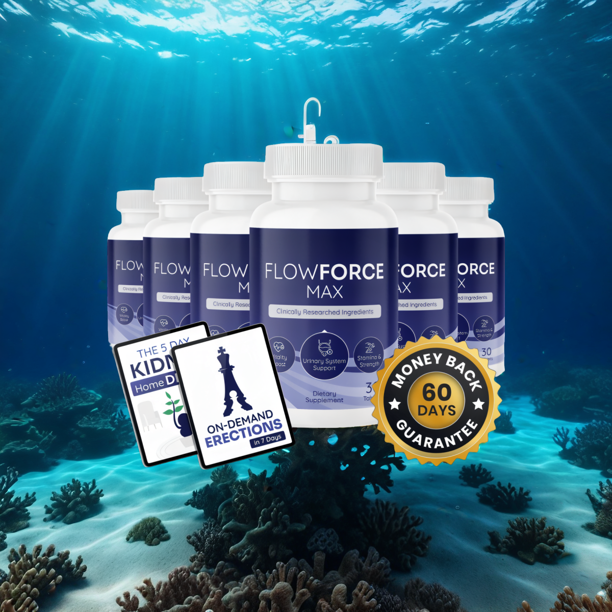 FlowForce Max - 6 Bottles + 2  Ebooks