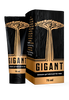 Gigant
